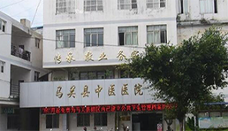 马关县中医医院（二甲）